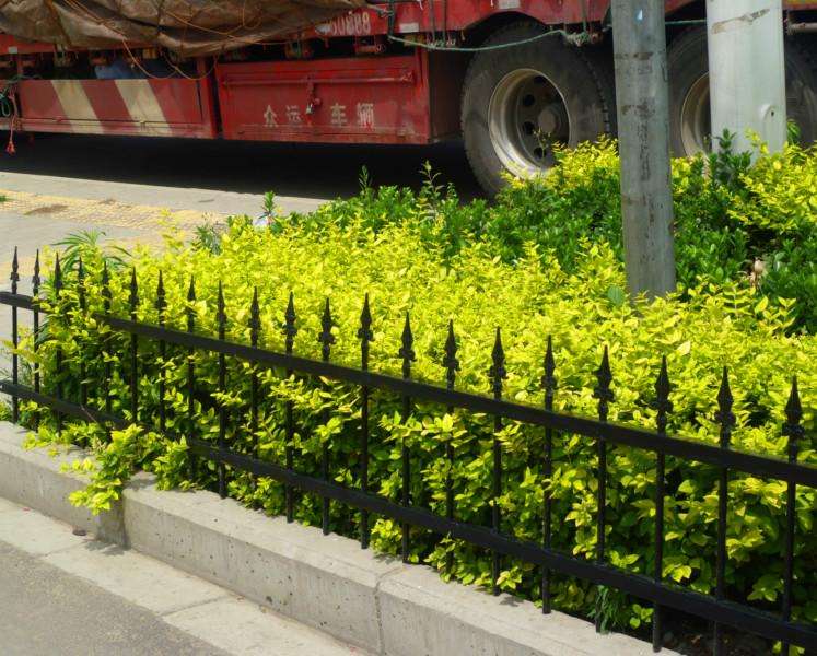 公園草坪護(hù)欄